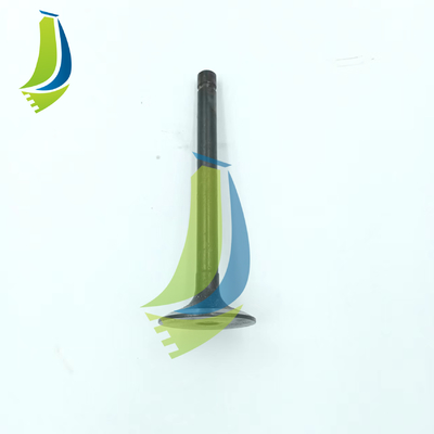 valvola di 1G897-13110 Intakr per l'escavatore di D1703 V2203